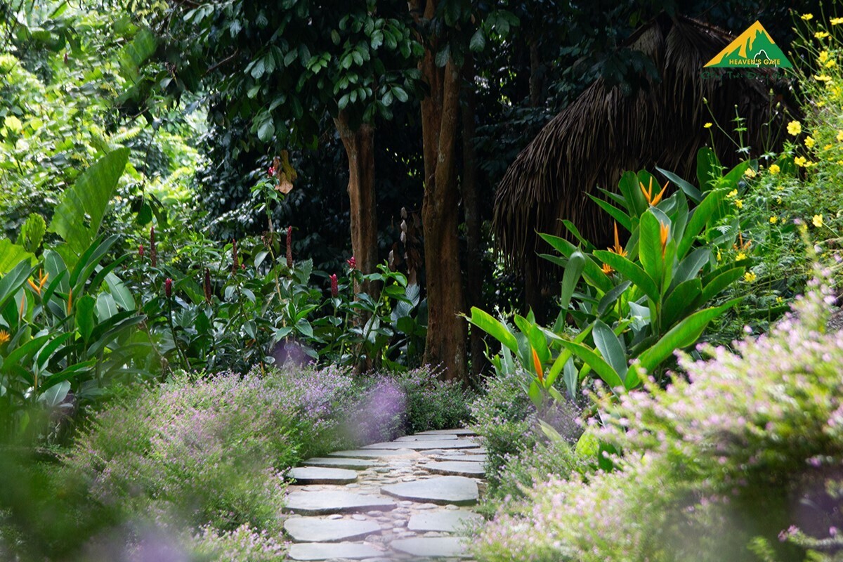 Giá vé Cổng Trời Đông Giang Nam 