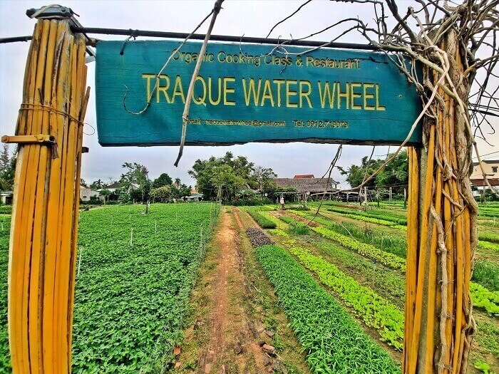 lang rau tra que o hoi an