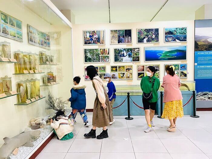 bao tang da nang co gi