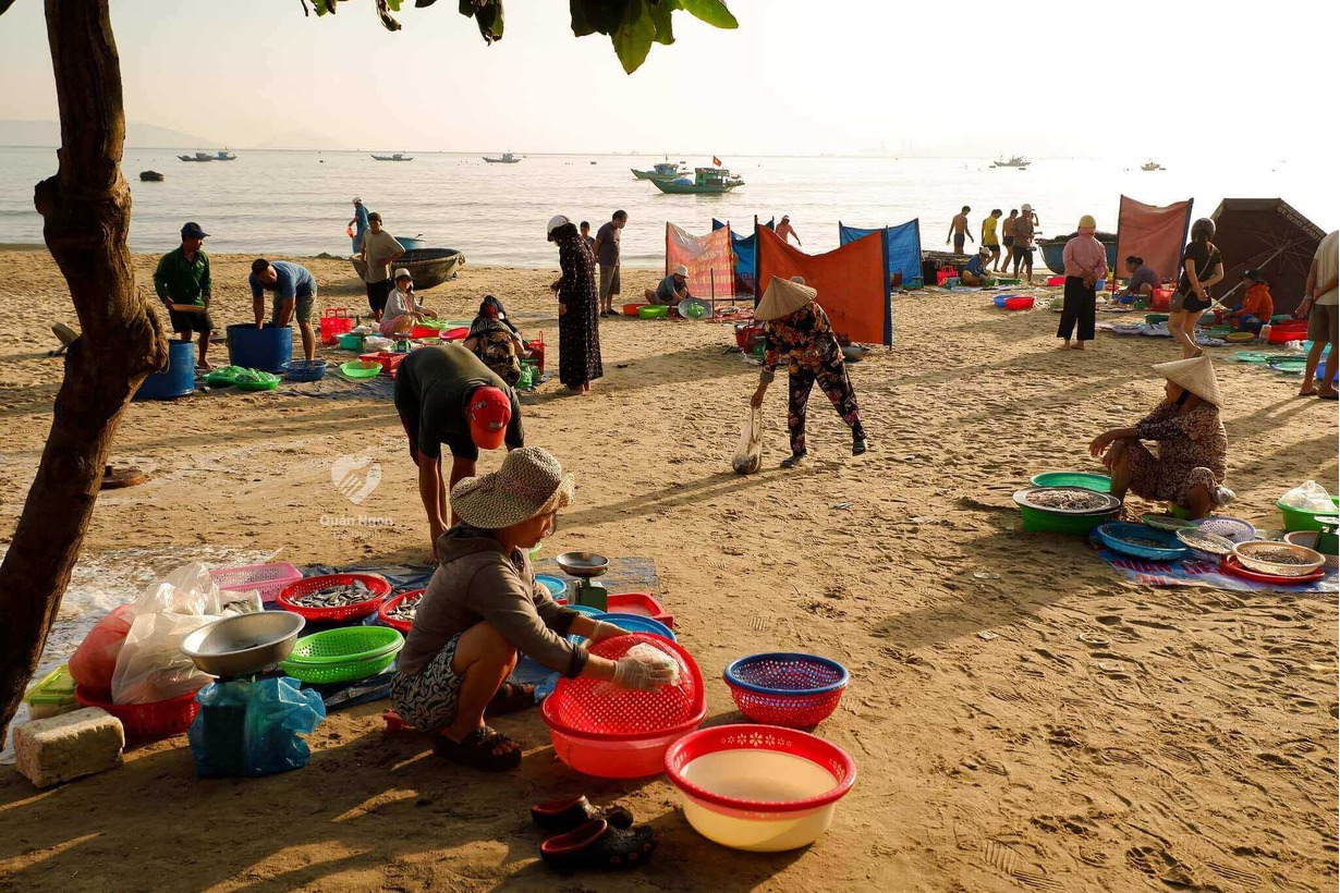 cho hai san ngon da nang