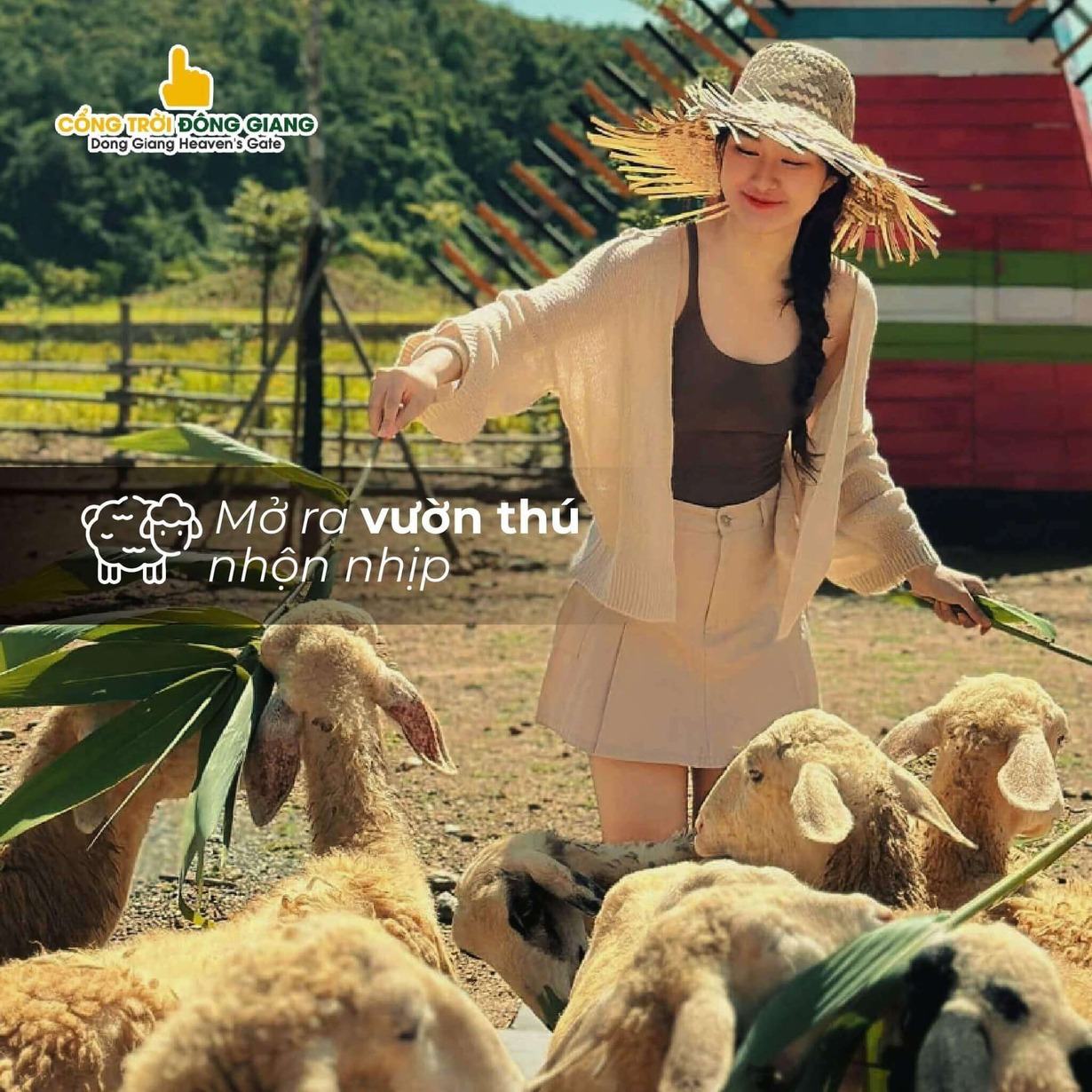 giam gia cong troi dong giang