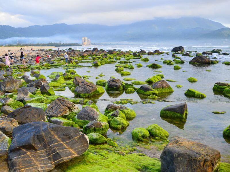 khu du lich sinh thai o da nang